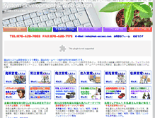 Tablet Screenshot of hsk-access.com